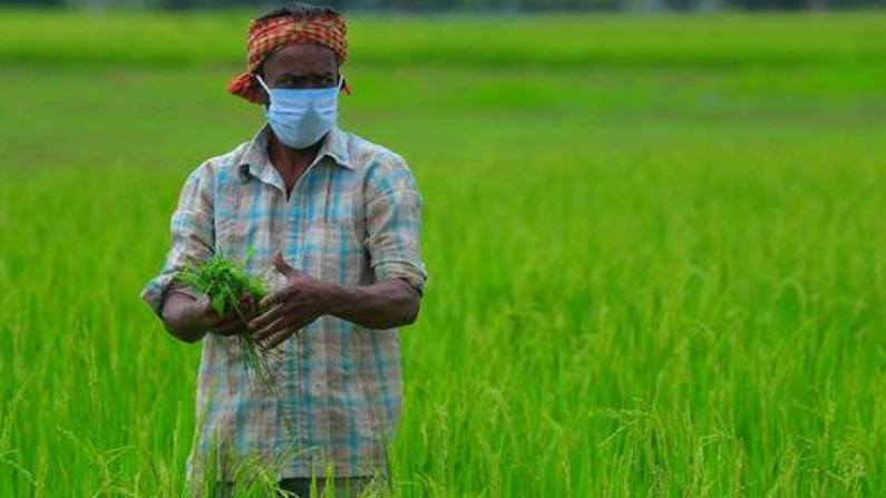 Second Covid-19 wave not to impact India’s agriculture sector in any way: NITI Aayog