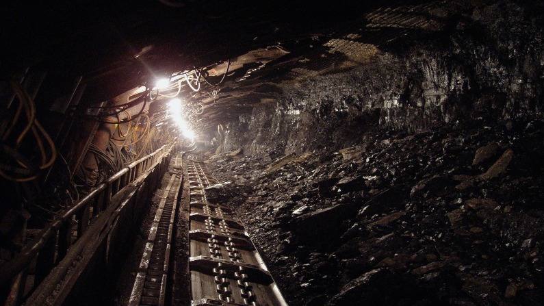 Should you invest in world’s largest coal miner after a decline in top & bottom line?