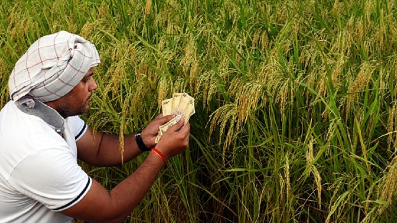 Nabard disbursed crop loan to over 71 lakh MP farmers