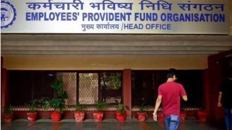 EPFO adds 14.65 lakh members in July; increases by 31% over June