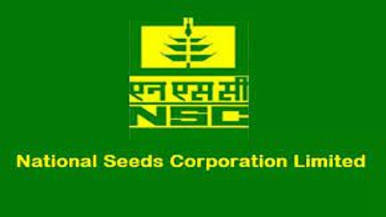 government to sell up to 25% stake in nsc via ipo