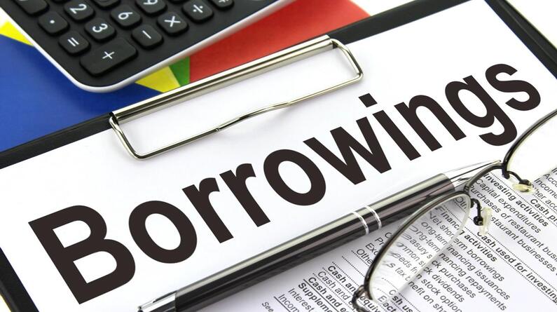 Revival of positive consumer borrowing, shows survey