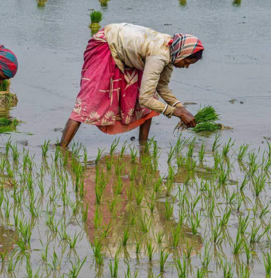 How will kharif crops be sown in states where monsoon is delayed?