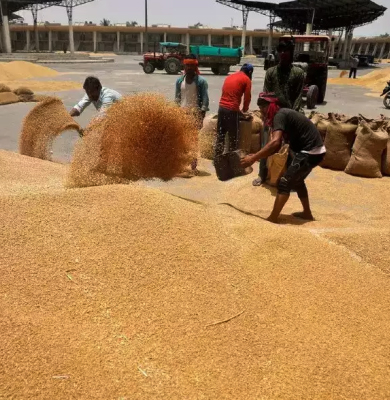 Why wheat prices won’t fall even if wheat import duty is reduced?